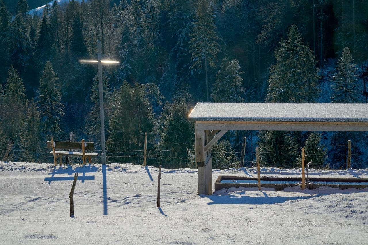 Unser Vorsaess - Geisskopf Schwarzenberg im Bregenzerwald Exterior photo